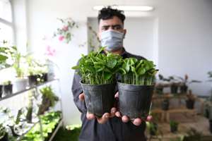 گزارش تصویری/ کارآفرینی برای دانش‌آموزان کم‌توان ذهنی با پرورش گل و گیاه
