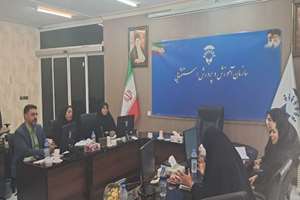 نشست مشترک کارشناسان سازمان آموزش و پرورش استثنایی با نمایندگان فدراسیون جانبازان و توانیابان، برای توانمندسازی معلمان تربیت بدنی و ارتقای ورزش مدرسه ای دانش‌آموزان با نیازهای ویژه، برگزار شد.   