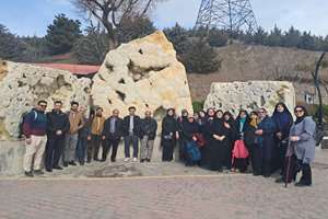 کوه‌پیمایی همکاران به مناسبت دهه فجر انقلاب اسلامی برگزار شد